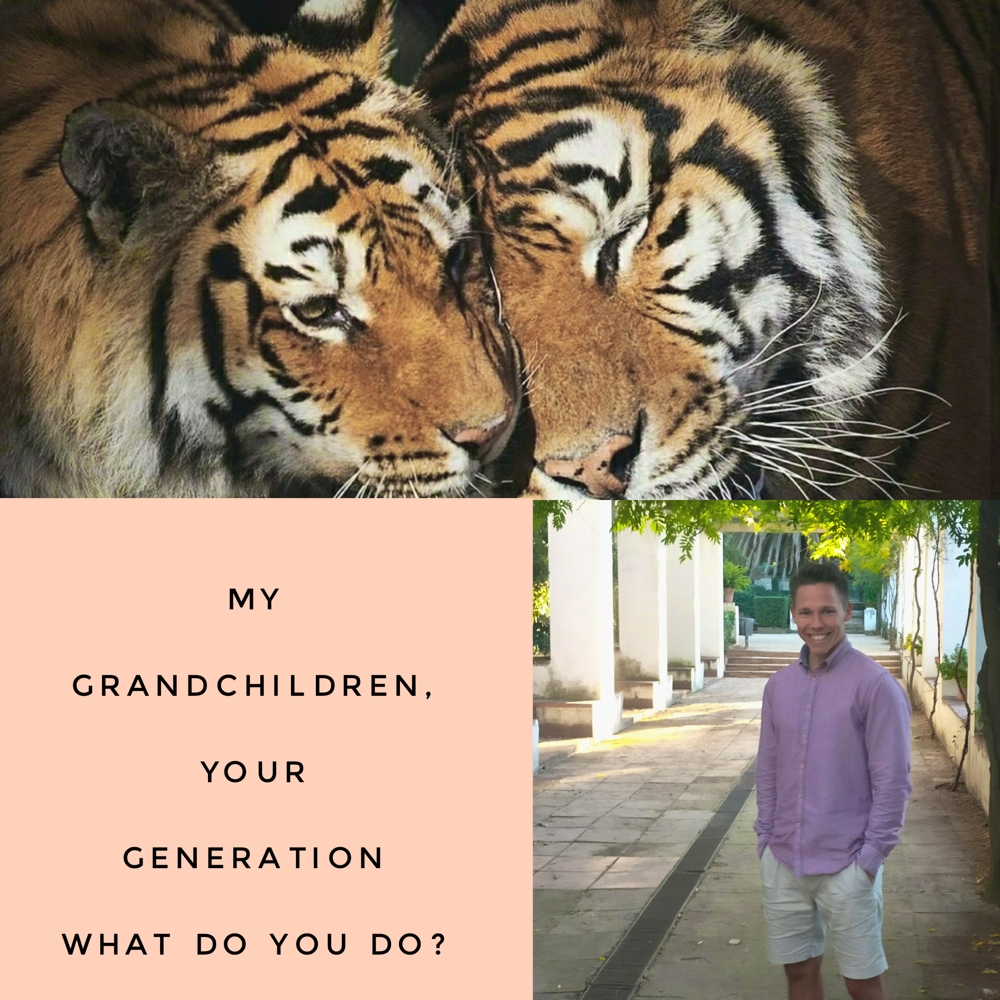 My grandchildren, your generation – What do you do?
