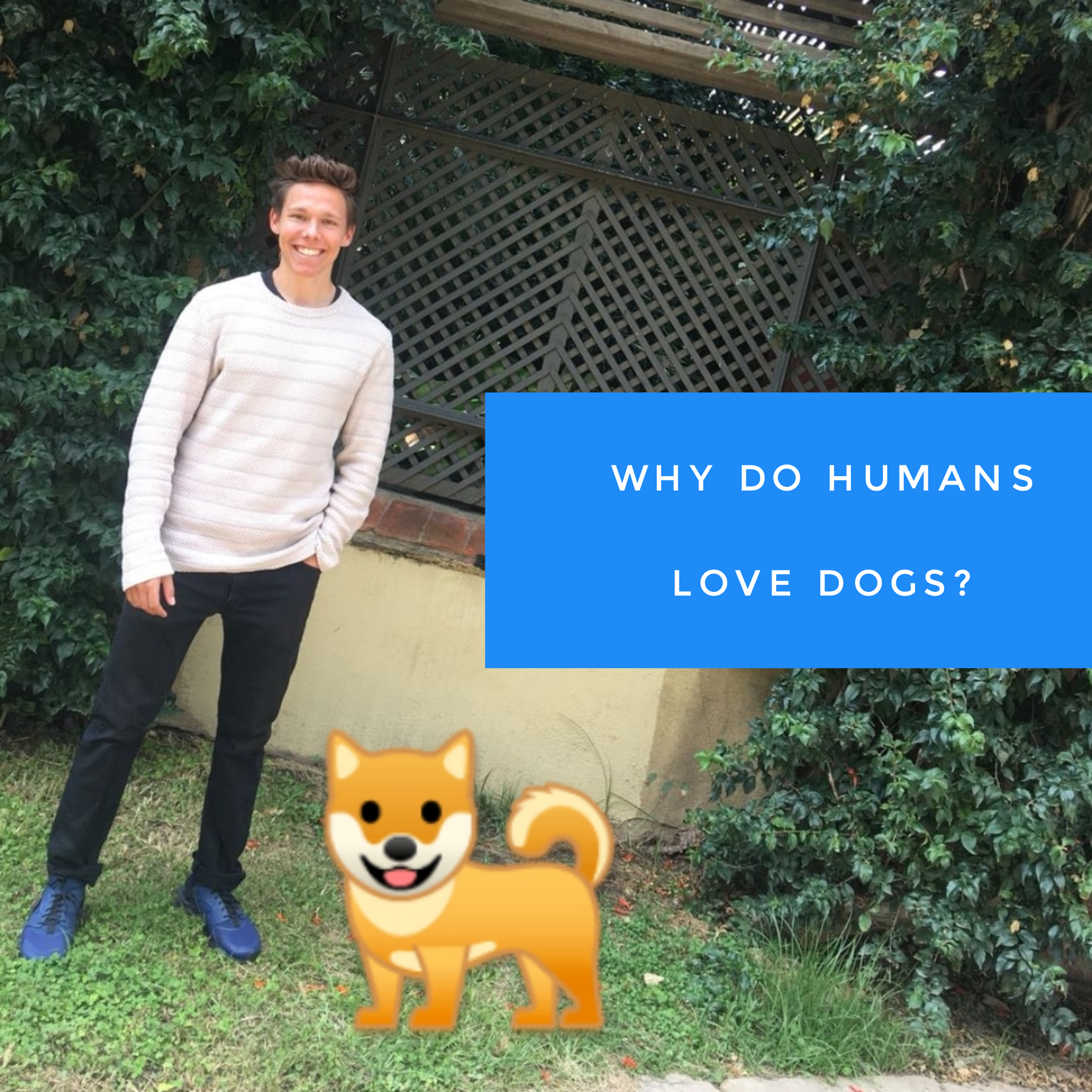 Why do Humans Love Dogs?